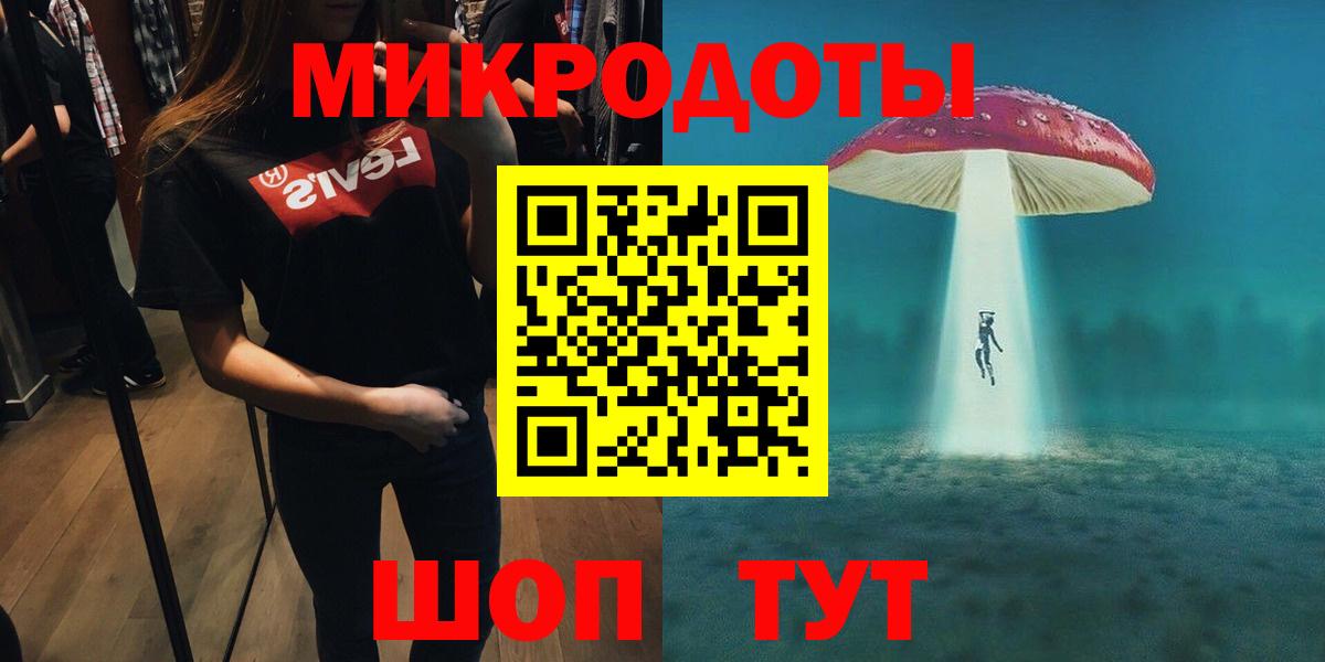 Кандалакша  Псилоцибиновые грибы прущие грибы  Вход с VPN  Галлюциногенные грибы Psilocybe 
